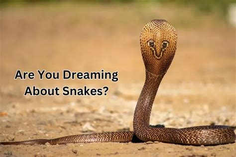 Dreams About Snakes: What It Means According to Dream Experts.